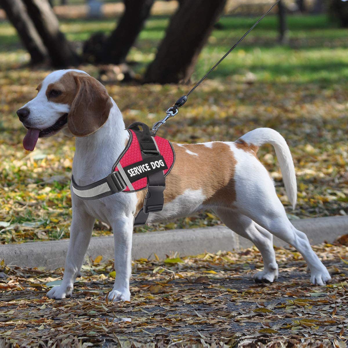 Pet Dog New Reflective Comfortable Pet Harness Leash Rope Hot Selling Vest Pet Harness