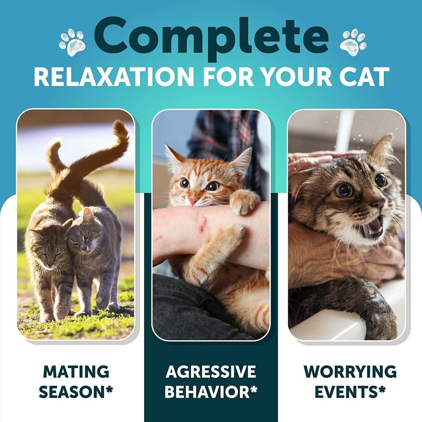 Calming Chews for cats Pet food cat calming chews pet chews cross-border