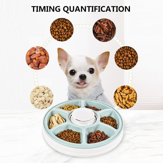 Timing Feeder 6 Grid Electric Timing Cat and Dog Feeder, Unmanned Feeding Machine Music Reminder Pet Food