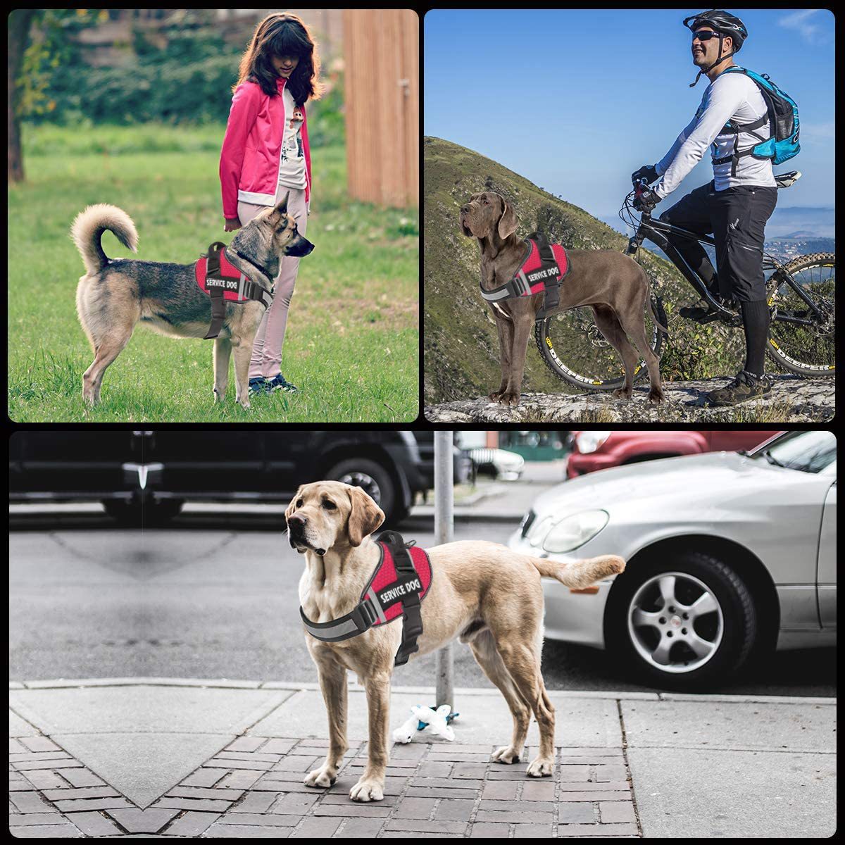 Pet Dog New Reflective Comfortable Pet Harness Leash Rope Hot Selling Vest Pet Harness