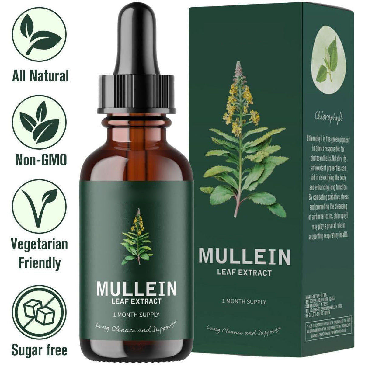 Mullein Drops Respiratory Health