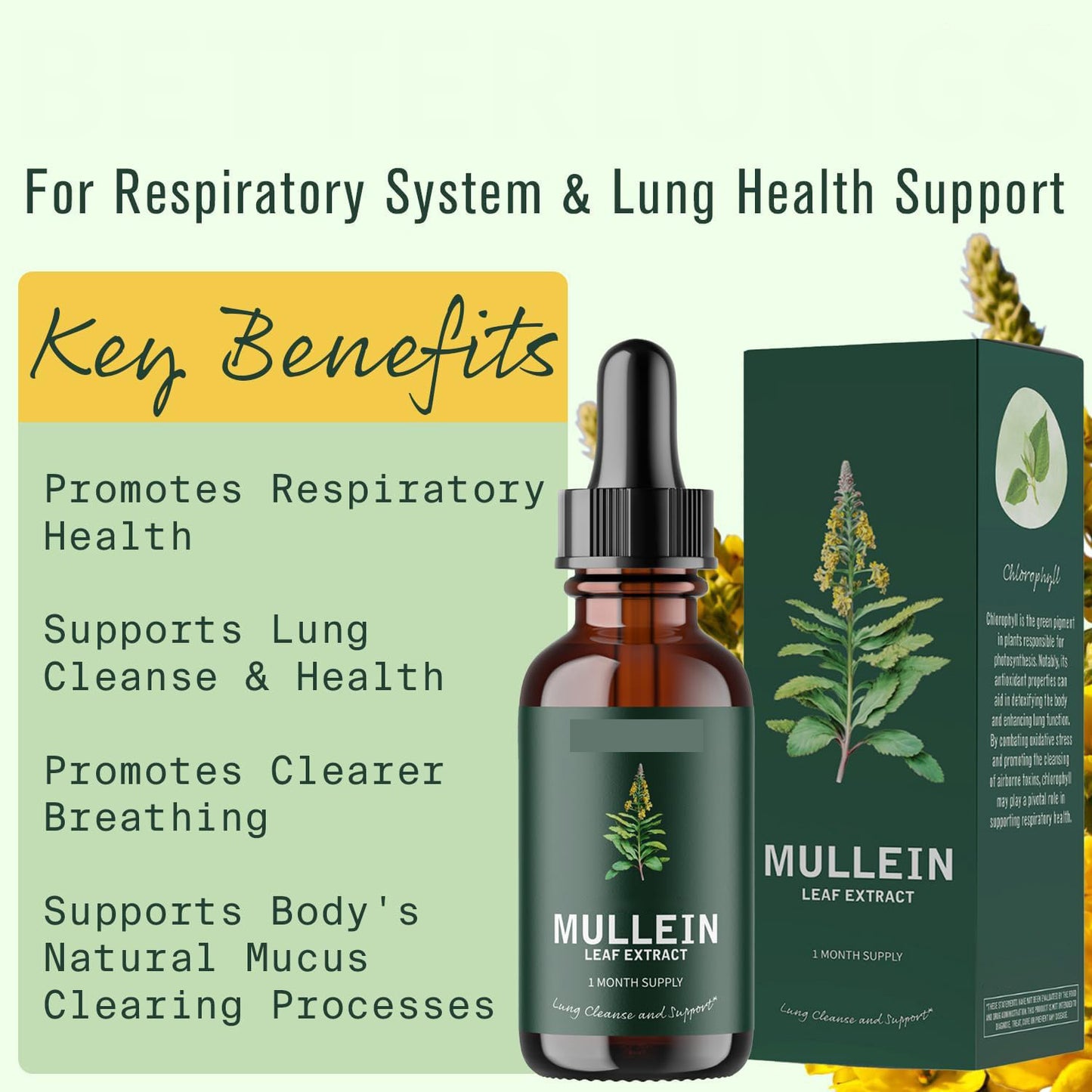 Mullein Drops Respiratory Health