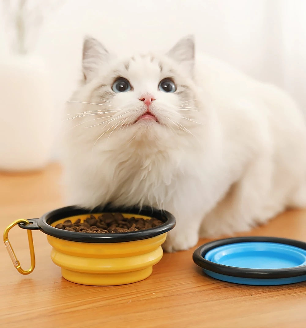 Silicone Large Pet Bowl Foldable TPE Pet Food Bowl Walking Dog Portable Dog Bowl Dog Supplies