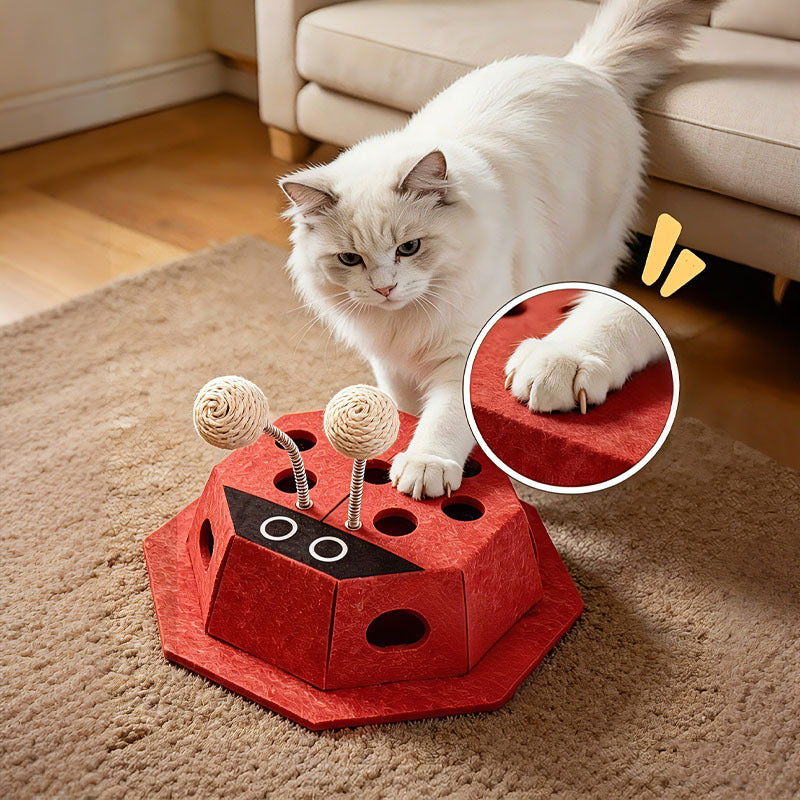 Cat Toys, Cat-Themed Baseball Toys, Self-entertainment Toys, Puzzle Toys, Spring-loaded Toys, Cat Toys That Expend Energy, Pet Toys
