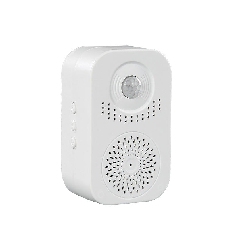 Smart Voice Prompt System, Welcome Doorbell Sensor, Home Welcome Reminder Alarm