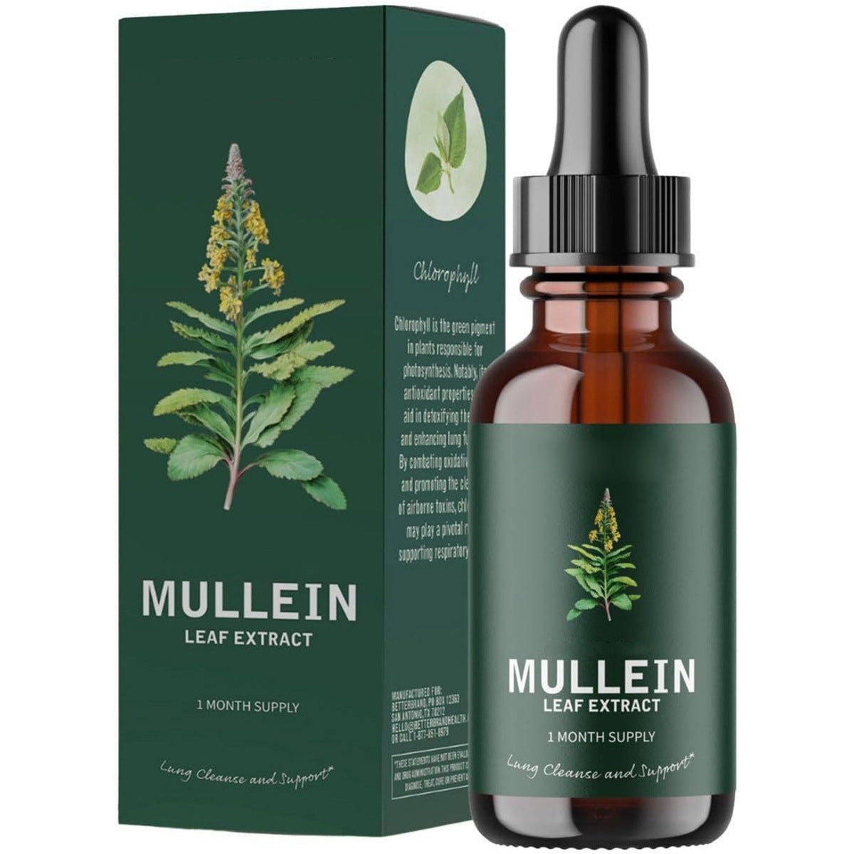 Mullein Drops Respiratory Health